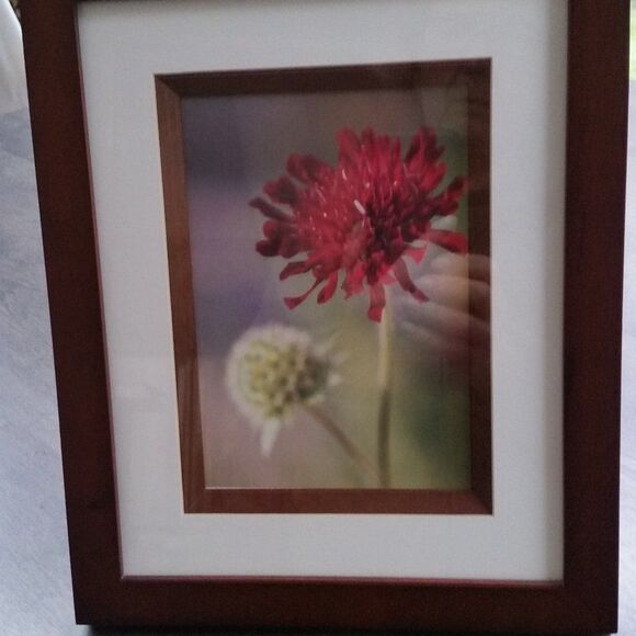 Picture in the frame - Picture 4 of 4